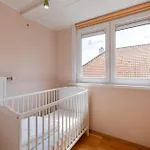 Charming Sea-side In * Coxyde